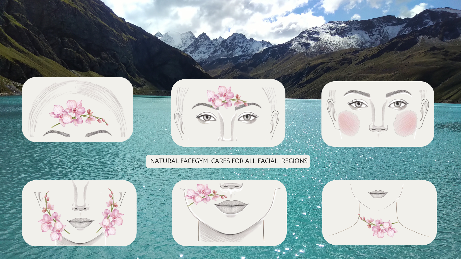 Natural Facegym Natural Facegym s'occupe de toutes les régions de votre visage, un système soigneusement construit pour votre lifting naturel.
